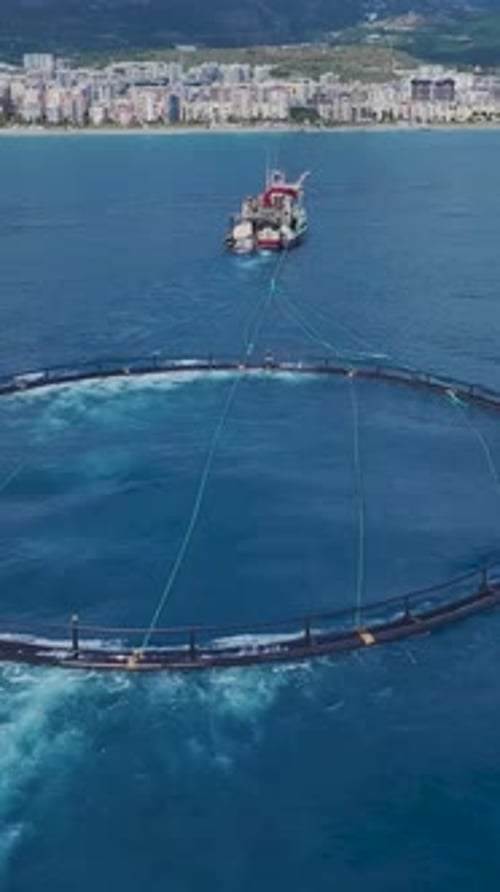 Vertical Video Aerial View of a Fish Farm on the Mediterranean Sea with Circular Pens and Clear Blue
