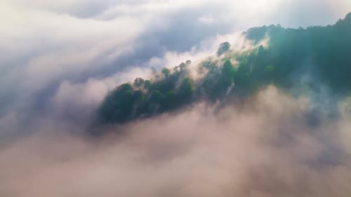 Aerial View of Forested Mountains Covered by Moving Sea of Clouds