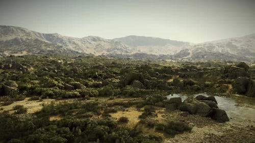 Vast Rocky Landscape with Lush Greenery Under a Bright Sky in Daylight