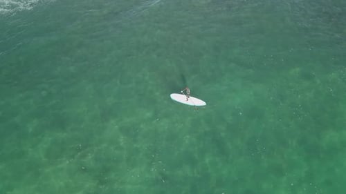 Aerial: Stand up paddleboard paddles through shallow green ocean water