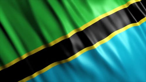 Tanzania Flag