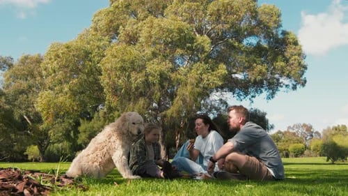 Family enjoying a sunny picnic in the park with a dog on a warm afternoon surrounded by greenery