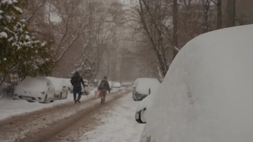 Snow blankets the city streets creating a winter wonderland scene