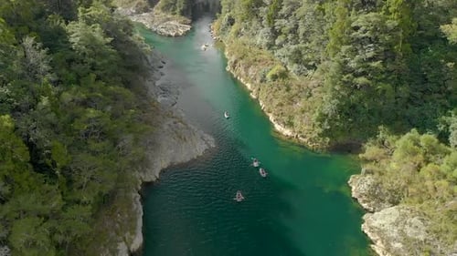 SLOWMO - People on canoe tour paddle beautiful pristine clear blue Pelorus River, New Zealand - Aeri