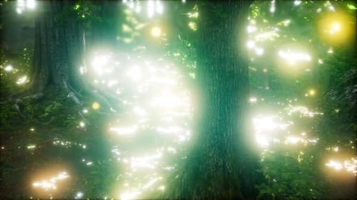 Luciérnaga volando en el bosque