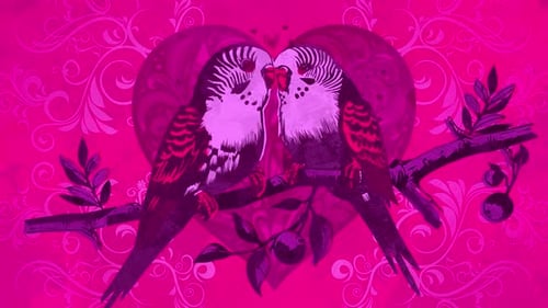 Animated Love Birds Couple on a Decorative Branch