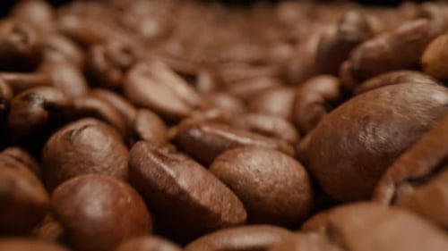 Coffee Beans Dolly Shot Macro Close Up