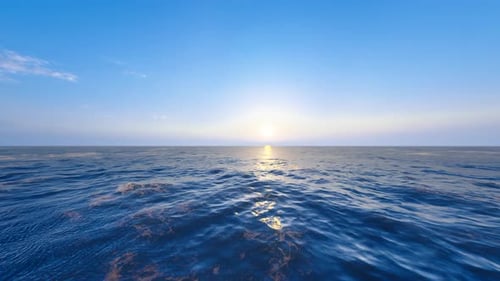 Sailing In The Calm Sea