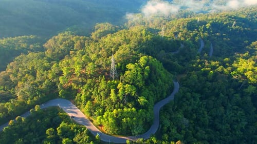Autos fahren auf kurvenreicher Straße im berggrünen tropischen Regenwald