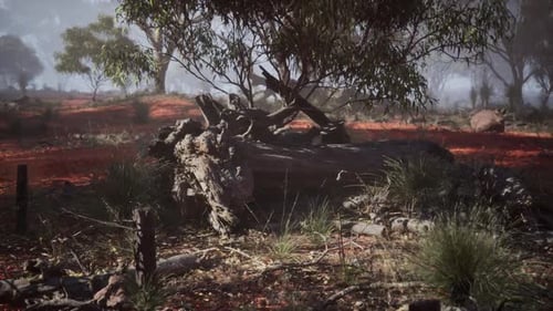 A Serene Landscape Featuring a Fallen Log in a Vibrant Forest During the Day