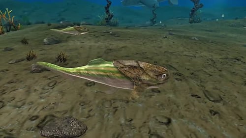 Animated Prehistoric Fish on Ocean Seabed