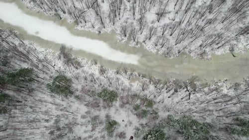 Aerial View of a Snowy Forest Landscape with a Frozen River Winding Through the Trees