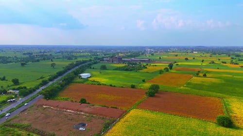 upper view of beautiful lush greenery of vast agricultural farms flourishes under a bright blue sky