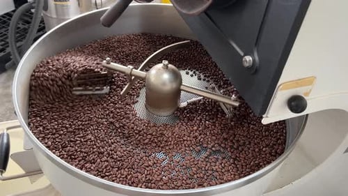 Aromatic fresh specialty coffee beans spinning on cooling and mixing tray in regular speed to reduce
