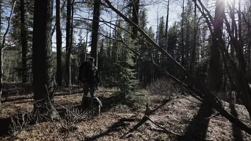 Man With Dog Hing In Sunny Woods