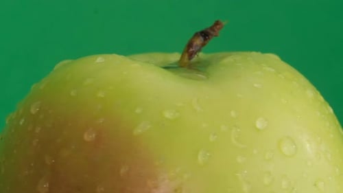 Beautiful Apple in Water Drops on a Green Background Macro Video