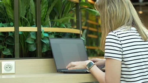 Woman Usinf Laptop in Cafe Freelancer in Coworking