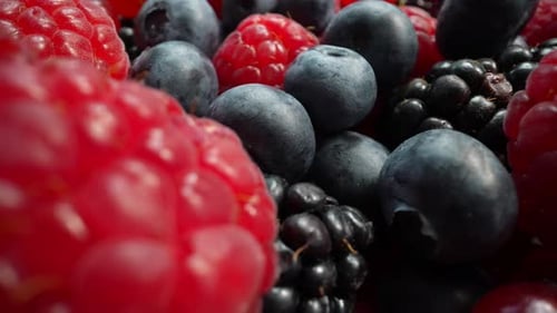 Macro Shot of Colorful Fresh Mixed Berries