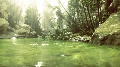 Serene Jungle Pond Shimmering with Dappled Sunlight and Gentle Ripples