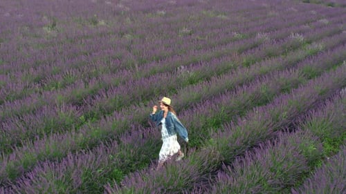 Aerial Shot of Beautiful Young Caucasian Girl Running Through Lavender Field Touching Purple Flowers