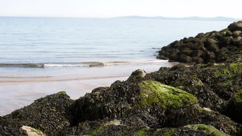 Tropical holiday surf coastline beach stones foreground beach tide waves background sunny horizon