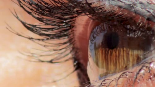 Woman brown eye ball closeup with reflections and shine 04