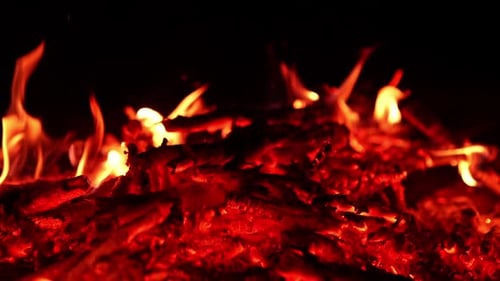 Burning bonfire motion. Fireplace firing on dark.