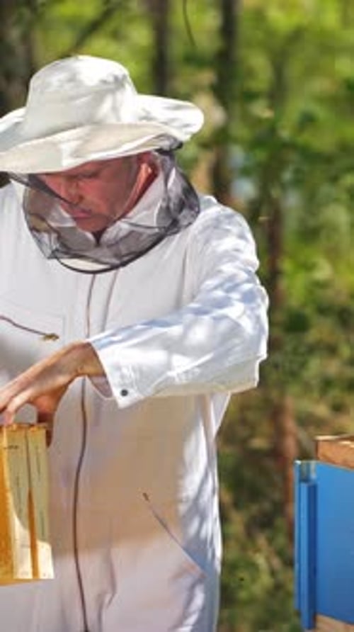 Beekeeper Inspecting Honeycombs in a Rural Setting