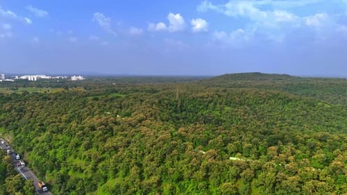 The roads are visible from the dense forest, winding through the trees under the clear sky.