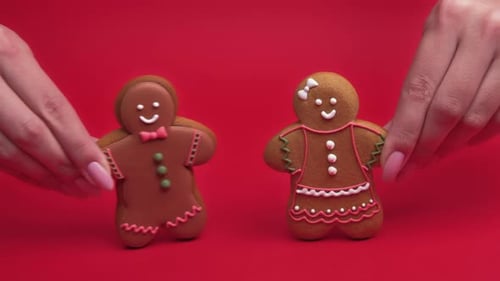 Romantic Relationship Valentine Day Couple Cookies