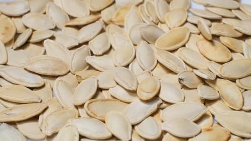 Pile of Fresh Pumpkin Seeds Falling