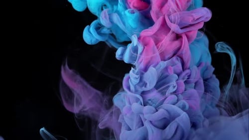 Abstract Pink and Blue Fluid Swirl on Black