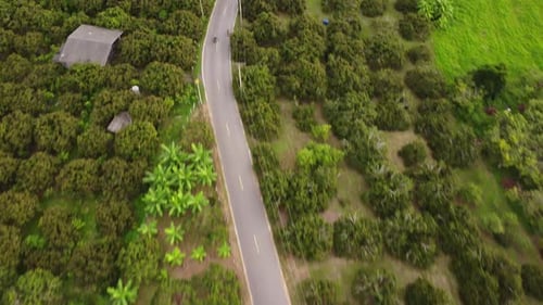 Vista aérea de uma estrada rural de asfalto entre belos espaços verdes.