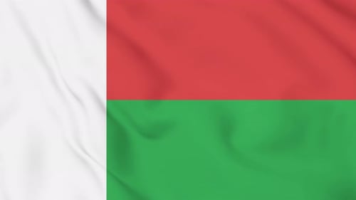 Realistic Fabric Animation Loop of Madagascar Flag