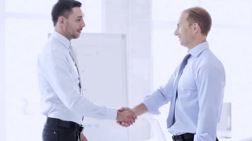 Men Handshaking in a Bright Office Environment