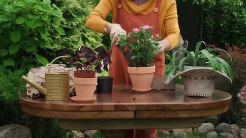 Woman Gardening with Flowers in a Lush Garden