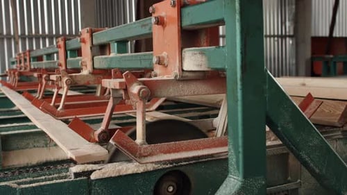 Automated Saw Cutting Lumber in a Factory