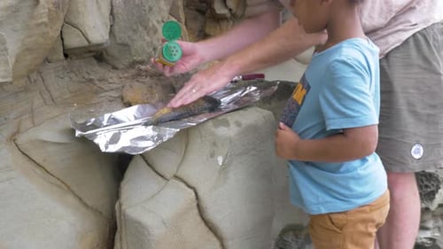 Preparing Fish on Beach for Outdoor Cooking