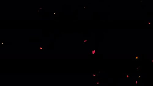 Falling Maple Leaves on Transparent Alpha 4K