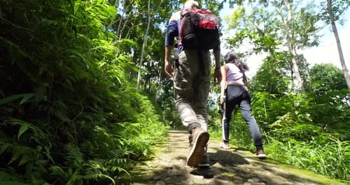 Couple Walking on a Small Pathway in the Natural Park with Lush Greenery