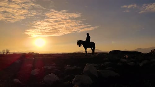 Silhouetted Rider on Horse at Sunrise