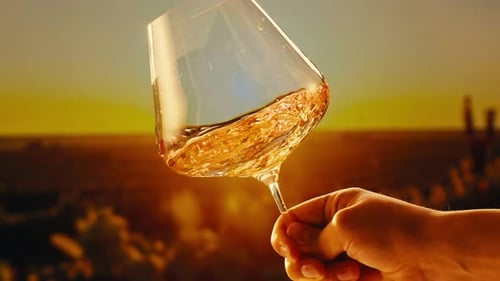 Orange or White Wine Bottle and Glass Against a Sunset in a Peaceful Vineyard Pouring of Ecological