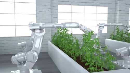 cuidado de plantas con robots