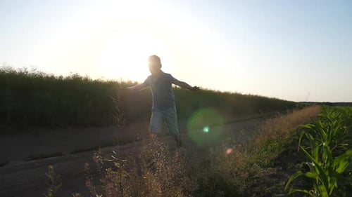 Criança feliz correndo no campo e comemorando o verão ao pôr do sol, garotinho correndo pelo campo e