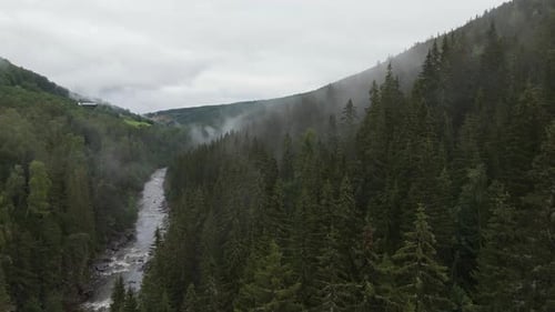 Aerial view showcasing mist above forest trees, creating a moody and atmospheric scene with hills in
