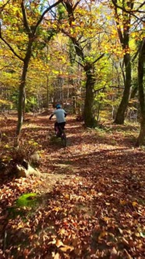 Cyclist Riding an Electric Mountain Bike Through a Lush Forest Trail on a Sunny Day