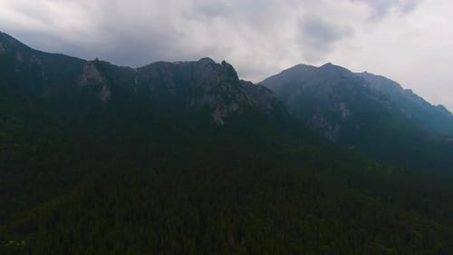 Epic Forest Mountain Bucegi Romania 4k
