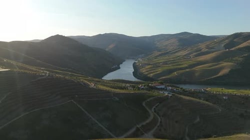 Weinberge des Douro-Tals, grüne Terrassen und der Fluss Douro, Portugal, Luftaufnahme