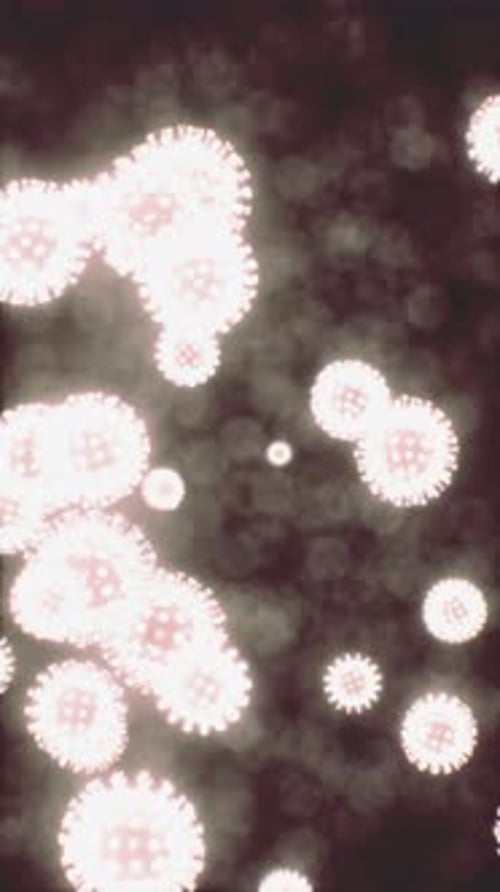 Viruses Under the Microscopic View for Education