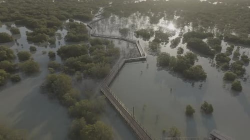 Aerial view of Jubail Mangrove wetland, Abu Dhabi, UAE.